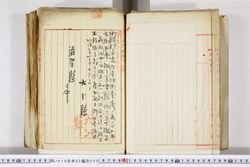 明い016020090067.jpg
