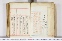 明い016020090069.jpg