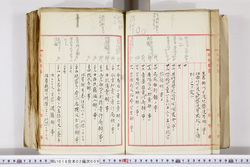 明い016020090071.jpg