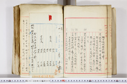 明い016020090073.jpg