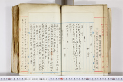 明い016020090076.jpg