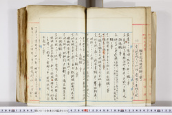 明い016020090078.jpg