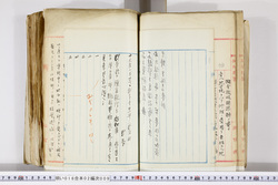 明い016020090081.jpg
