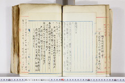 明い016020090083.jpg