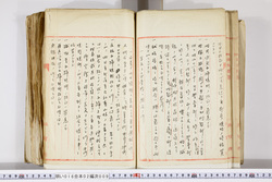 明い016020090085.jpg