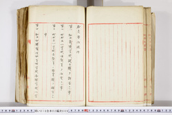 明い016020090087.jpg