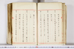 明い016020090088.jpg