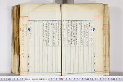 明い016020090093.jpg