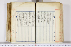 明い016020090095.jpg
