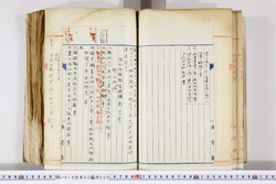 明い016020090096.jpg