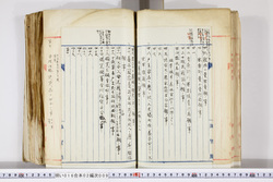 明い016020090098.jpg