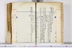 明い016020090099.jpg
