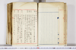 明い016020090100.jpg