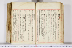 明い016020090101.jpg