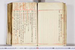 明い016020090102.jpg
