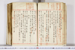 明い016020090103.jpg