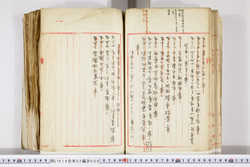 明い016020090104.jpg