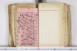明い016020090105.jpg
