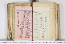 明い016020090108.jpg