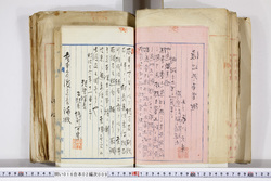 明い016020090109.jpg