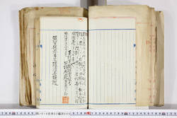 明い016020090110.jpg