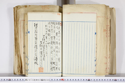 明い016020090111.jpg