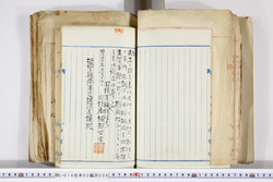 明い016020090112.jpg