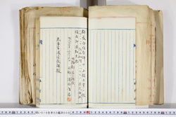 明い016020090113.jpg