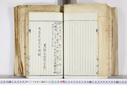 明い016020090114.jpg