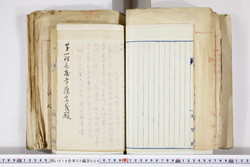 明い016020090115.jpg
