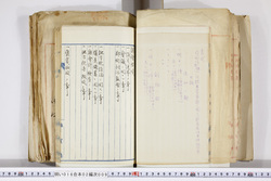 明い016020090116.jpg