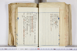 明い016020090117.jpg