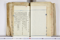 明い016020090118.jpg
