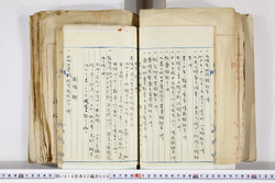 明い016020090119.jpg