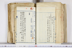 明い016020090120.jpg