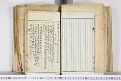 明い016020090121.jpg