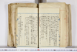 明い016020090122.jpg