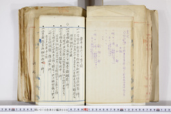 明い016020090124.jpg