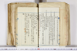 明い016020090125.jpg