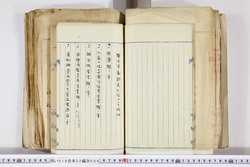 明い016020090126.jpg