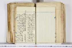 明い016020090127.jpg