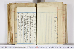 明い016020090128.jpg