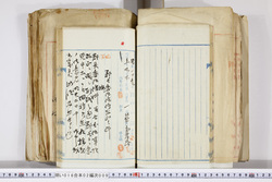 明い016020090129.jpg