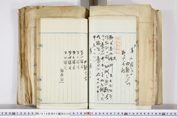 明い016020090130.jpg