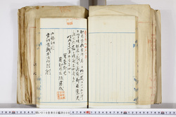明い016020090131.jpg
