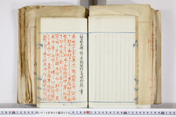 明い016020090133.jpg