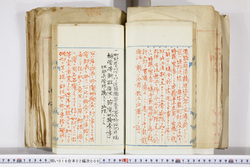 明い016020090134.jpg