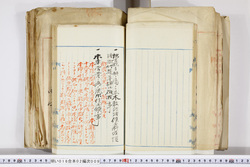 明い016020090136.jpg