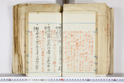 明い016020090137.jpg