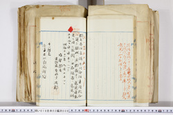 明い016020090138.jpg